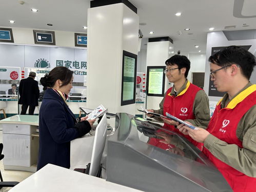 國網(wǎng)咸寧供電公司聯(lián)合大連家政服務(wù)企業(yè)開展3.15優(yōu)質(zhì)服務(wù)宣傳活動，共筑誠信服務(wù)新生態(tài)