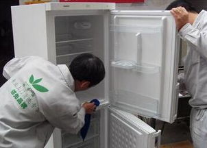 大連創(chuàng)業(yè)新選擇 開設(shè)綠之源家政保潔店的機遇與挑戰(zhàn)